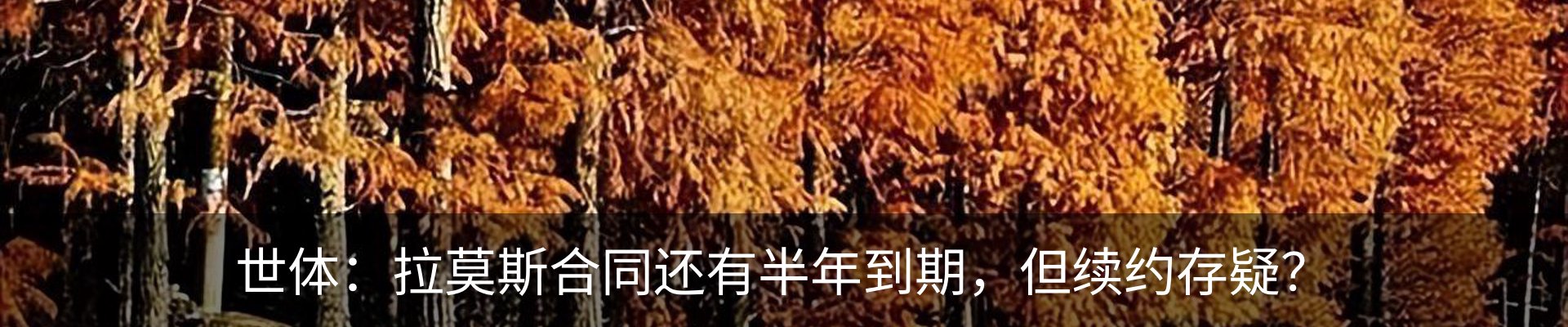 最新动态