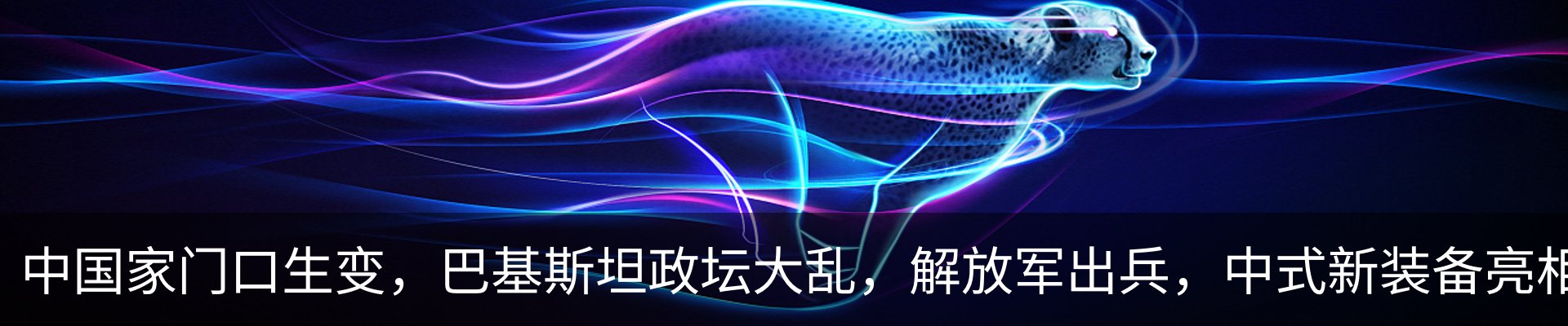 最新动态