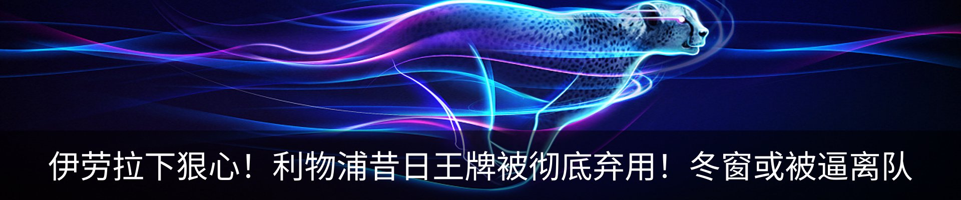 最新动态