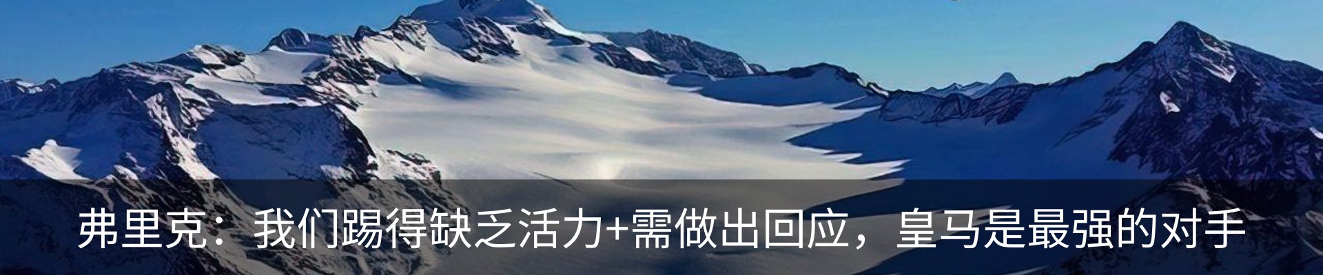 最新动态