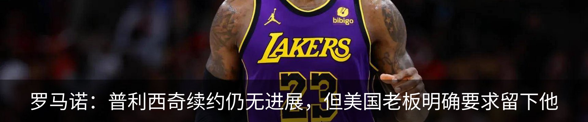 最新动态