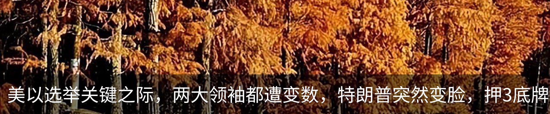 最新动态