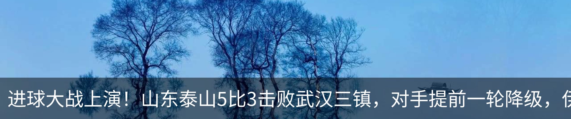 最新动态