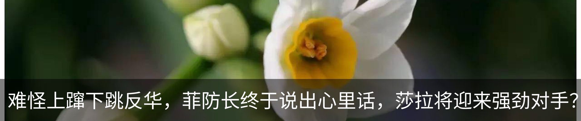 最新动态
