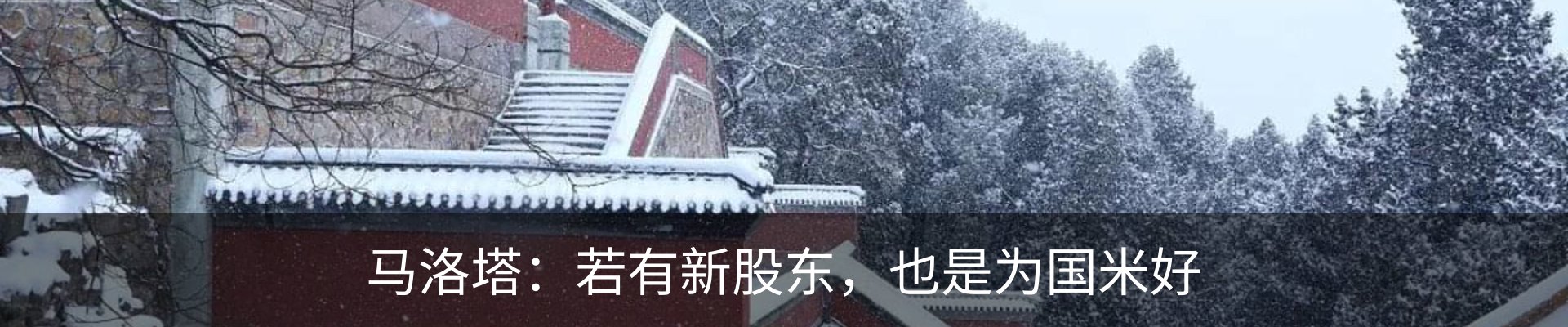 最新动态
