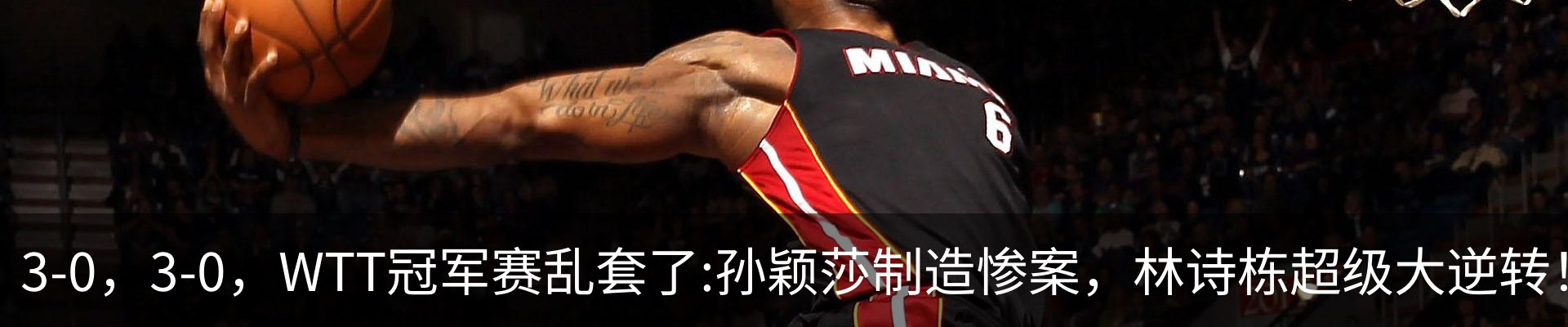最新动态