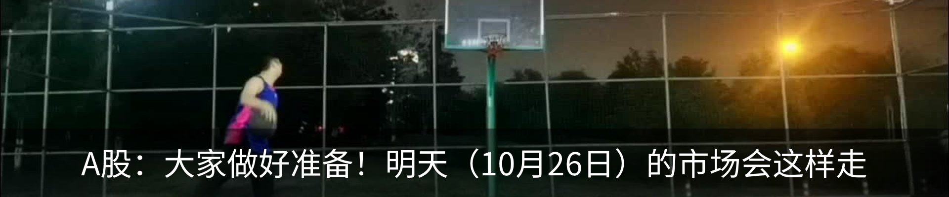 最新动态