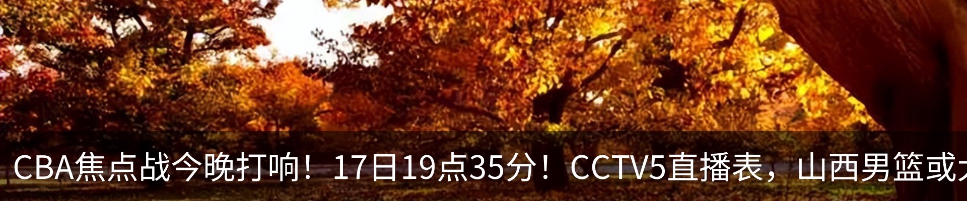 最新动态
