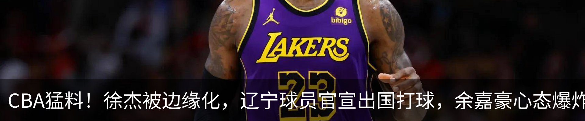 最新动态