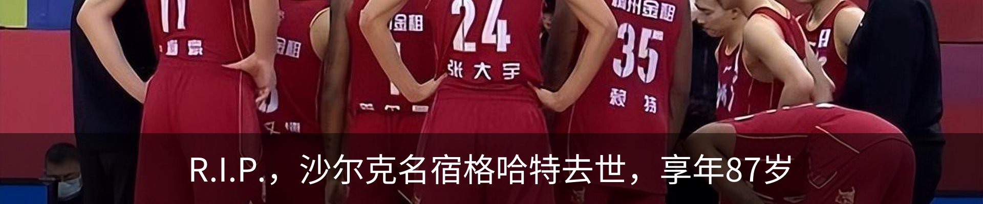 最新动态