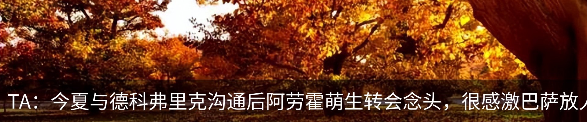最新动态